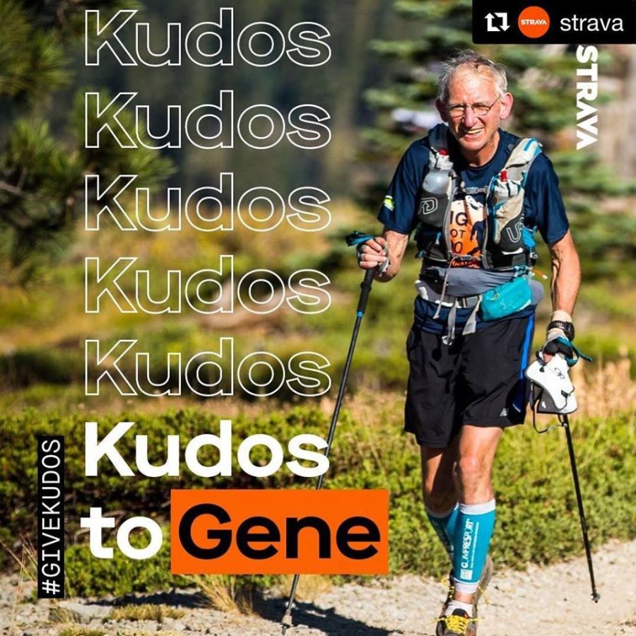 Terepsport Gene Dykes TC