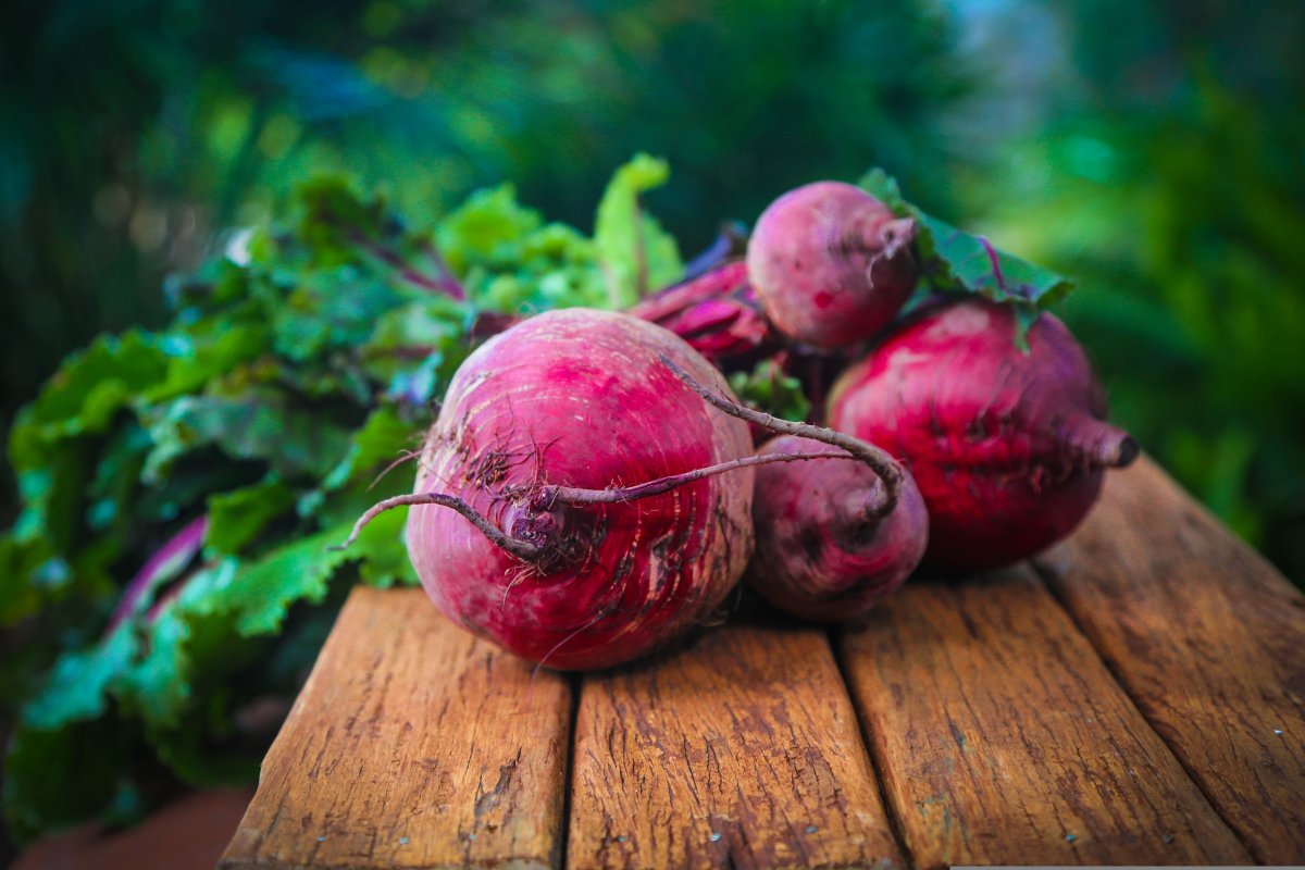 pixabay beetroot terepeuta