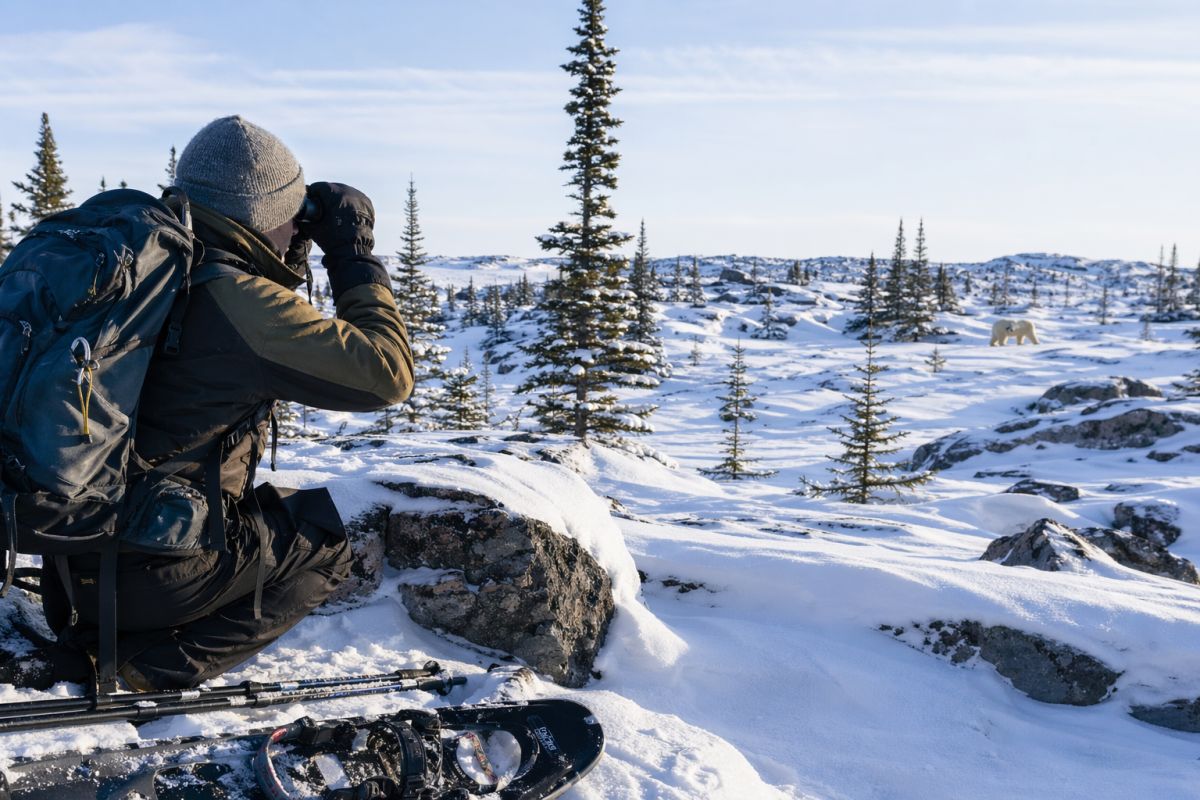 figyelem alaszka tel kikepzes terepsport terepeuta