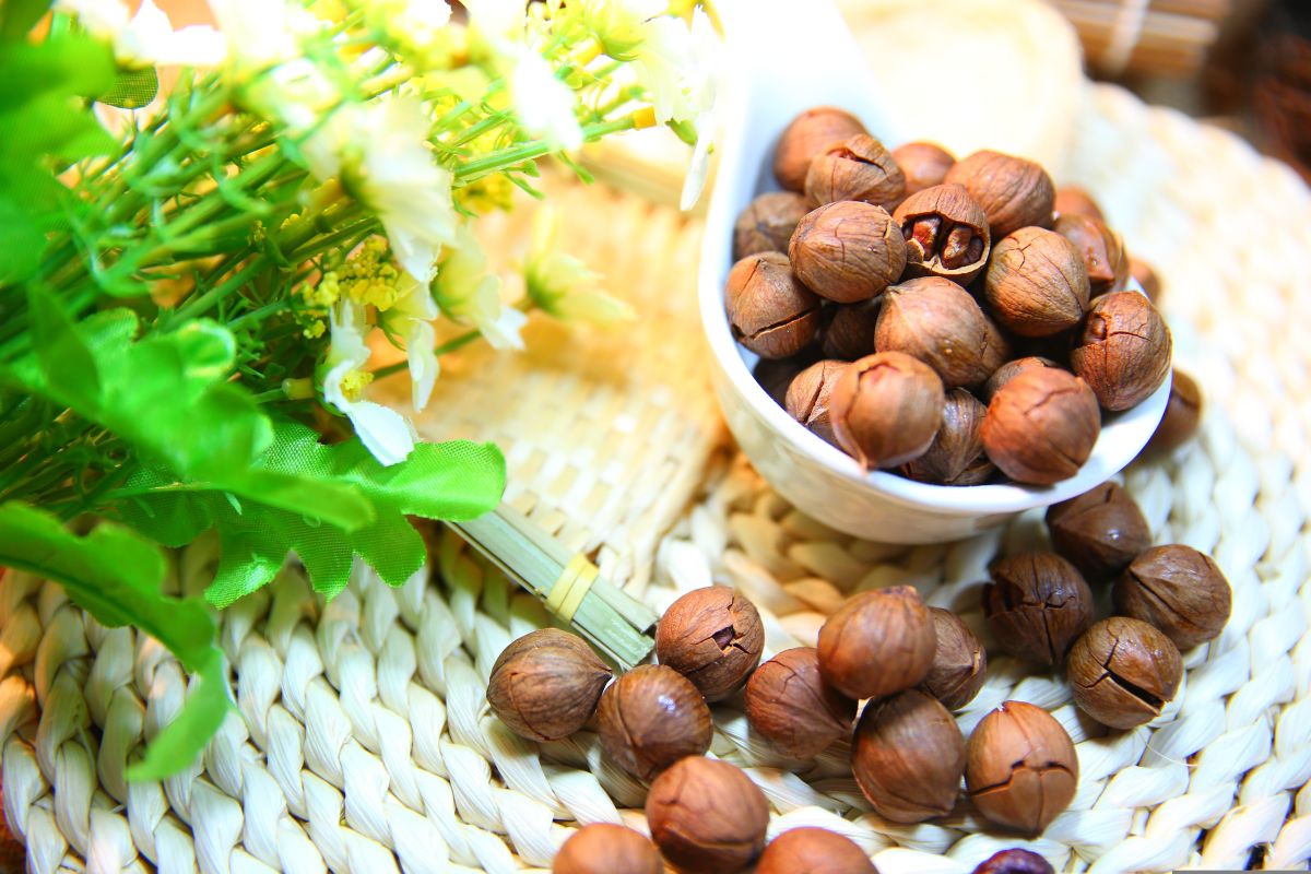 pecans vegan protein training edzes feherje terepeuta terepsport